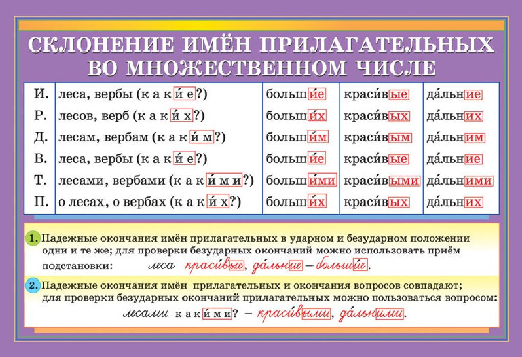 image (40)